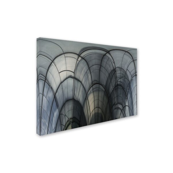 Luc Vangindertael 'Cobweb Cathedral' Canvas Art,18x24